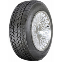 185/65 R14 86H Landsail Winter Lander