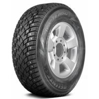 195/70 R15C 104/102R Delinte Winter WD42