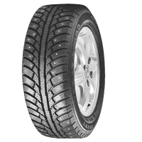 225/60 R17 99T Goodride FrostExtreme SW606